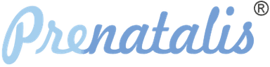 Navigator